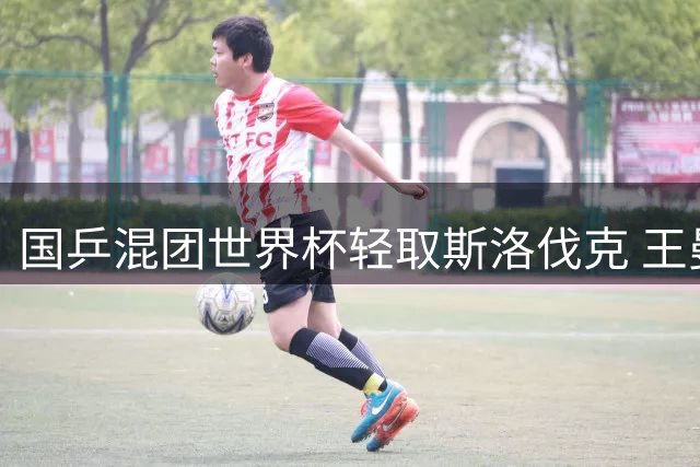 国乒混团世界杯轻取斯洛伐克 王曼昱樊振东零封对手