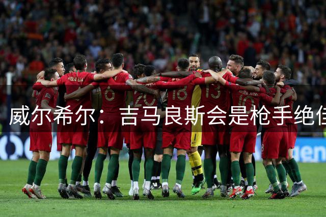 威尔希尔：吉马良斯会是枪手绝佳引援 签维尼修斯也有商业意义