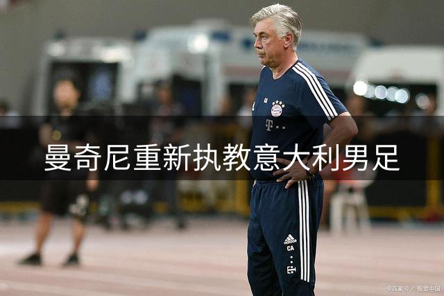 曼奇尼重新执教意大利男足