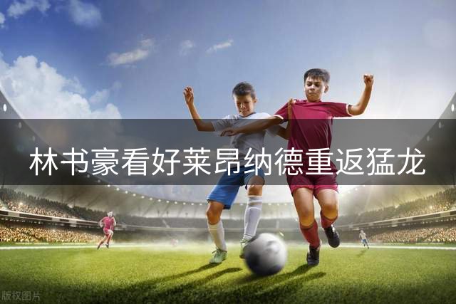 林书豪看好莱昂纳德重返猛龙