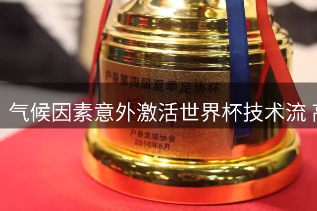 气候因素意外激活世界杯技术流 高温赛场催生艺术足球回归
