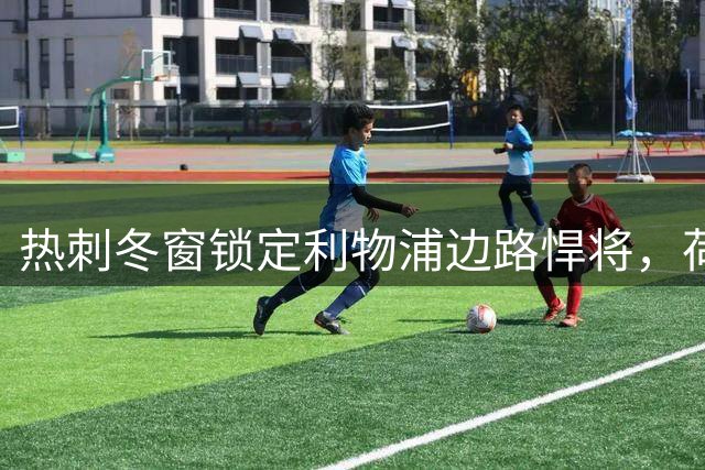 热刺冬窗锁定利物浦边路悍将，荷兰国脚或成北伦敦新火力